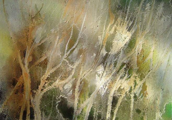 BILD 10