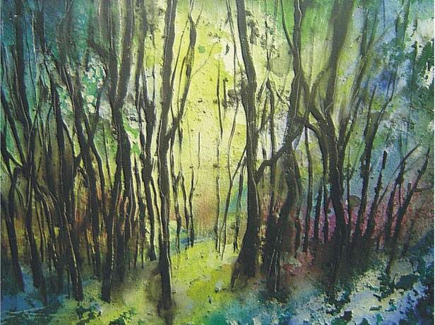 BILD 12