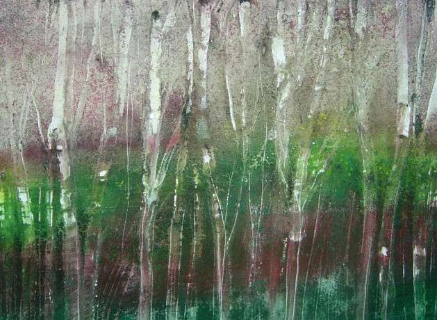 BILD 19