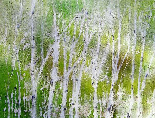 BILD 24