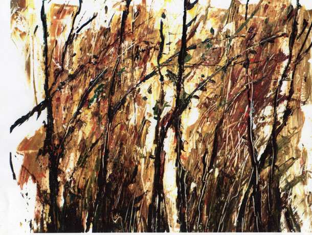 BILD 29