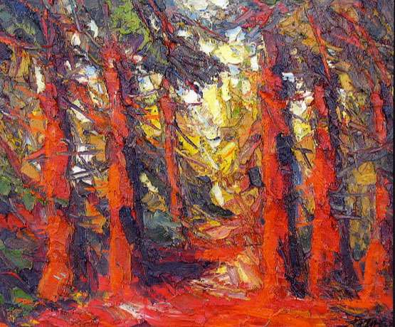 BILD 30