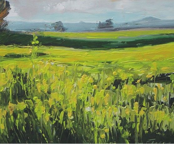BILD 47
