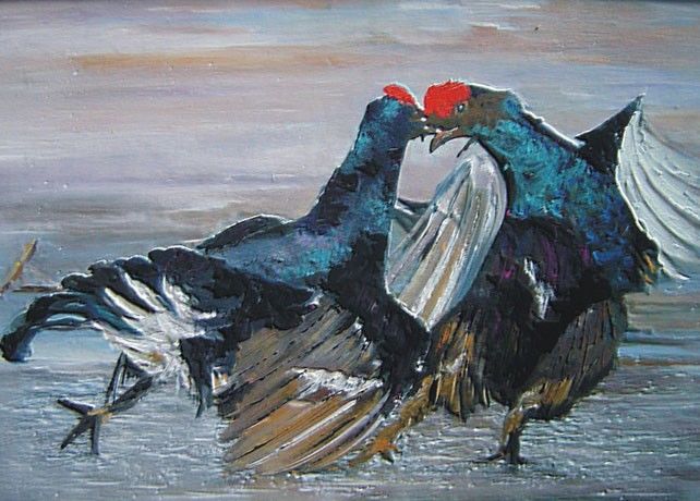 BILD 48