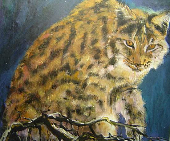 BILD 49