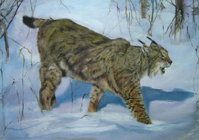BILD 50