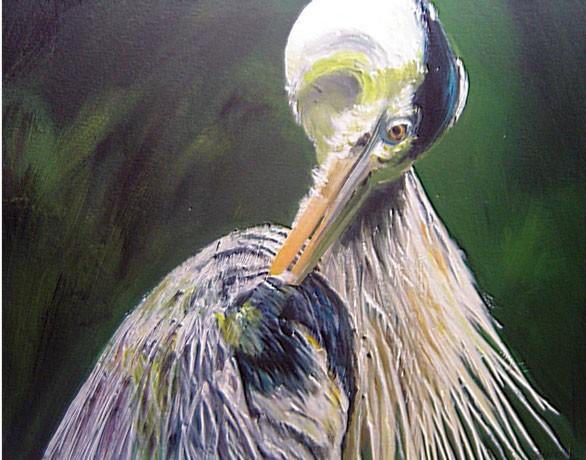 BILD 53