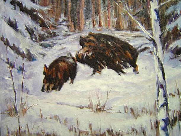 BILD 54